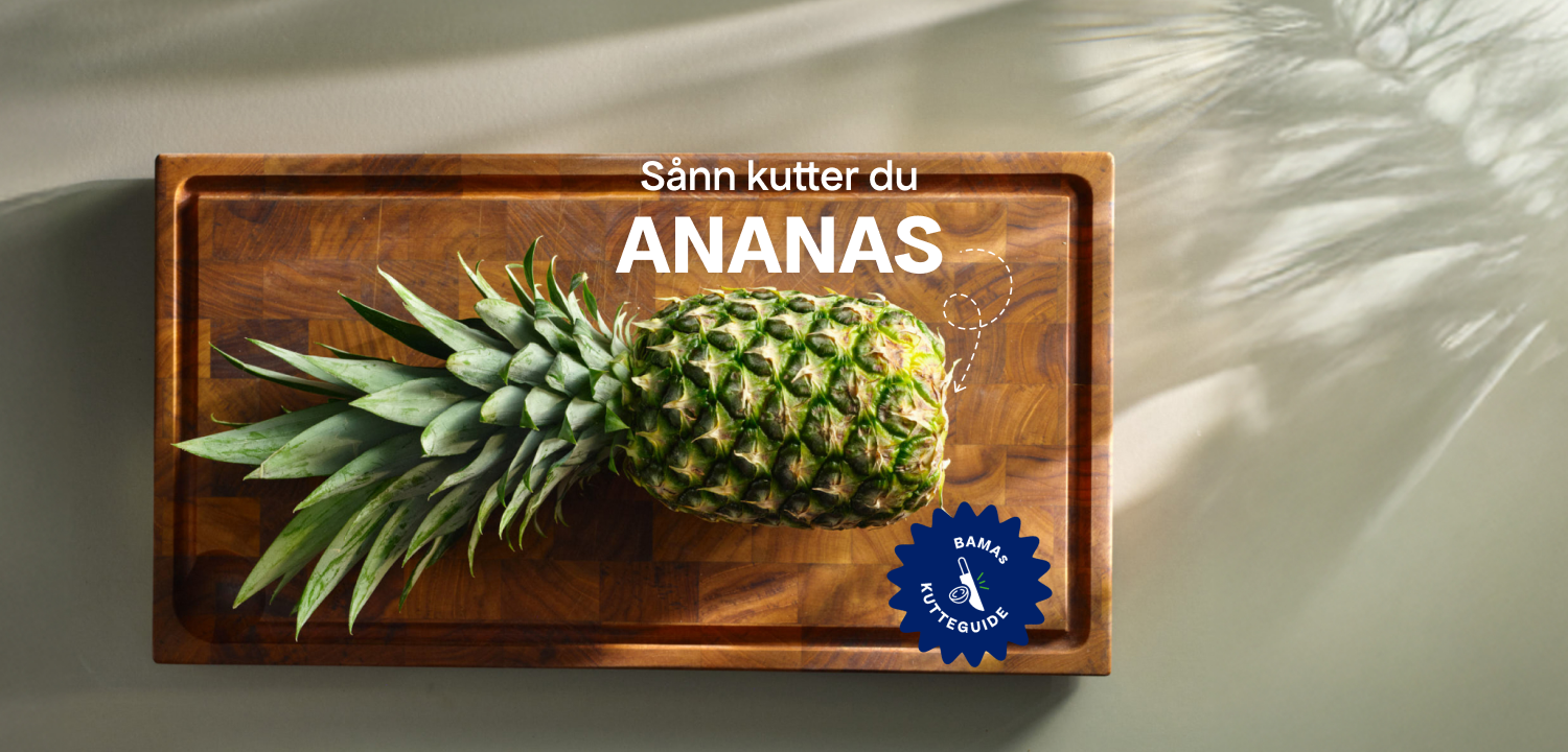 Ananas nettside 1 (1).png