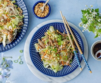 Salat med nudler og råkostsalat